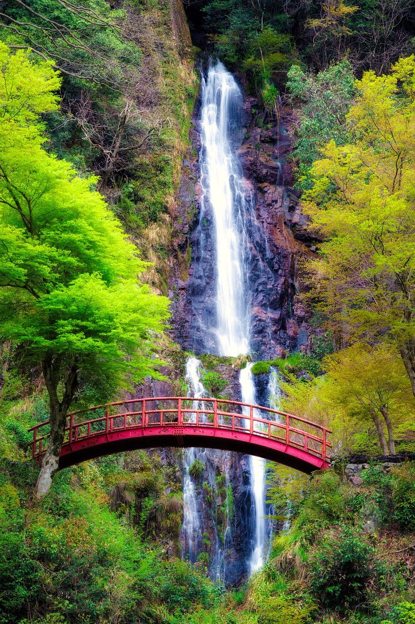 waterfall, bridge, trees-7962263.jpg